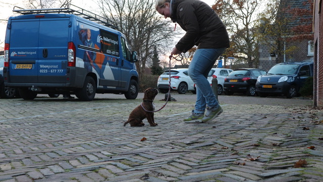 Eerste puppy cursus.jpeg