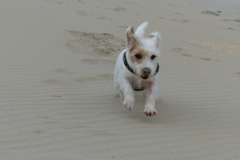 wijk aan zee 117.JPG