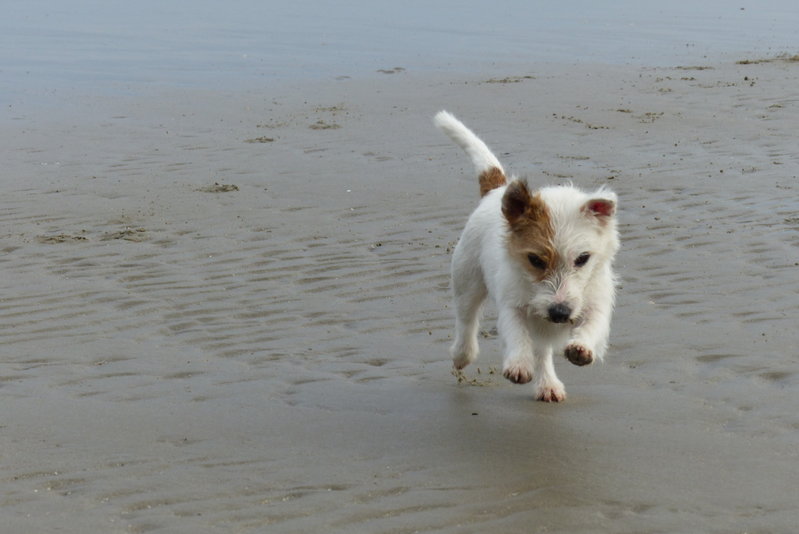 aan zee 022.JPG