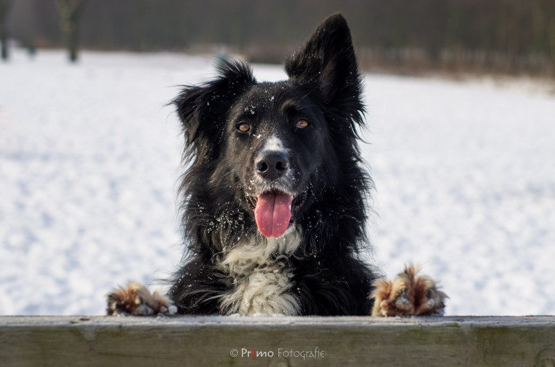 130123-KRN_1721-093-bewerkt.jpg