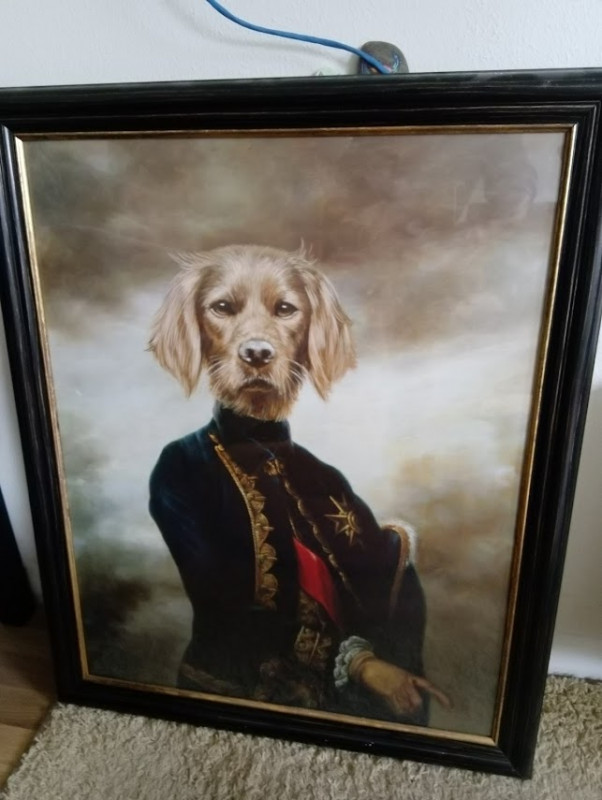 hond2.jpg