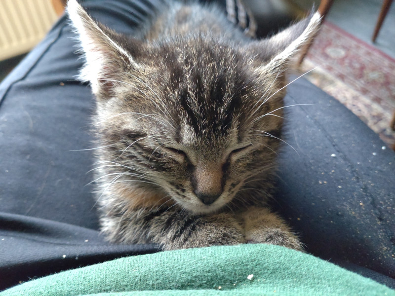 DSC_0422.JPG