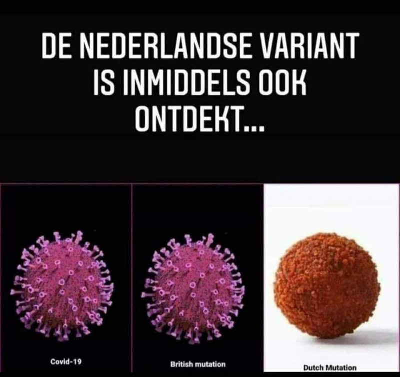 dutch mutation.jpg