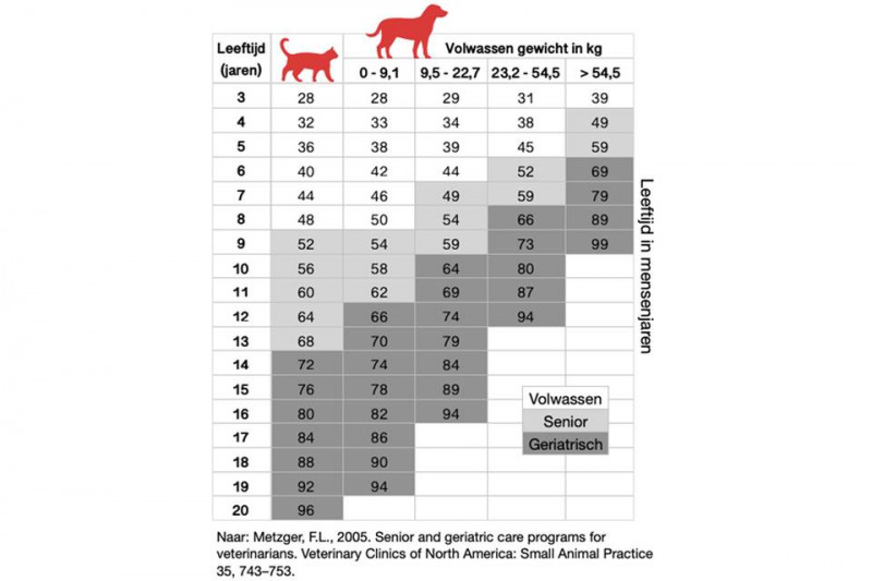 dierenziekenhuis-rotterdam-de-leeftijd-van-een-hond-en-kat-in-mensenjaren-960x640.jpg