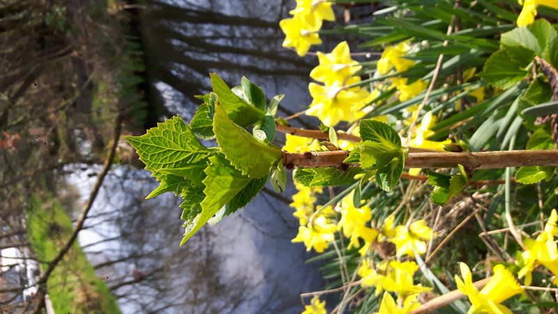 20170324_105730.jpg