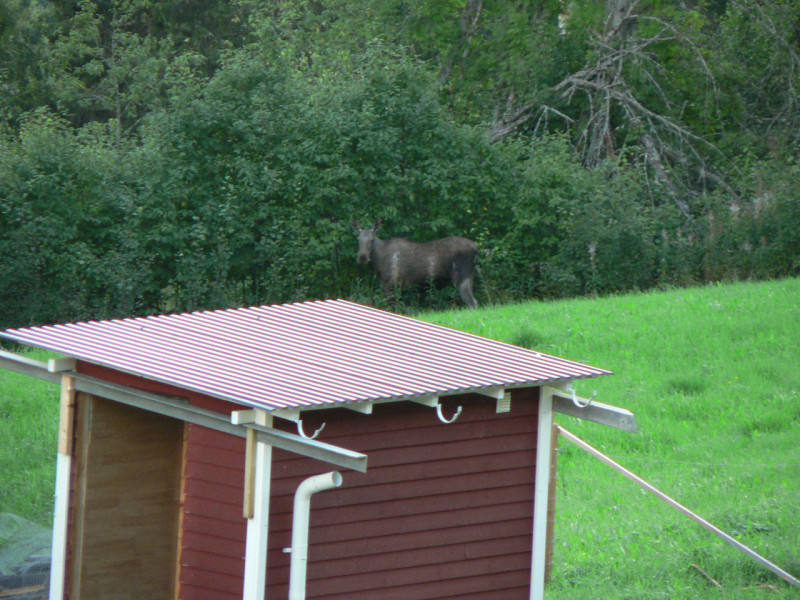 P1080619.JPG