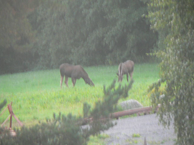 P1080645.JPG