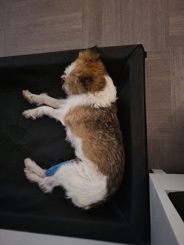 Vanmorgen even in vertrouwde mand