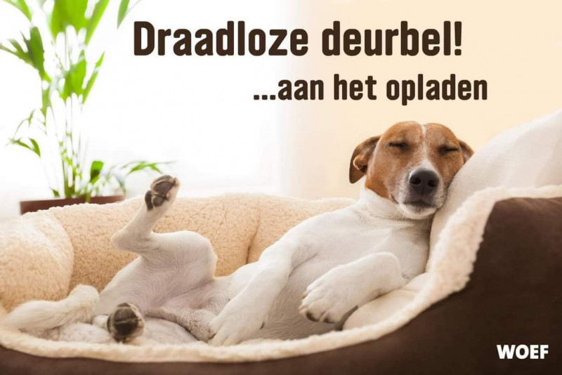 FB_IMG_1667811472724.jpg