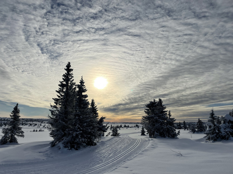 F4445898-1E74-46C9-93B6-7D17F871BF48.jpeg