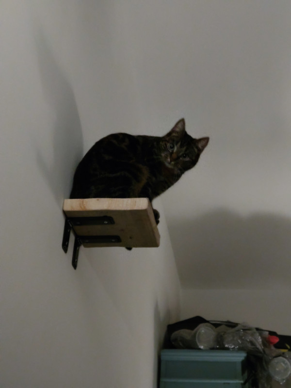 DSC_1965.JPG