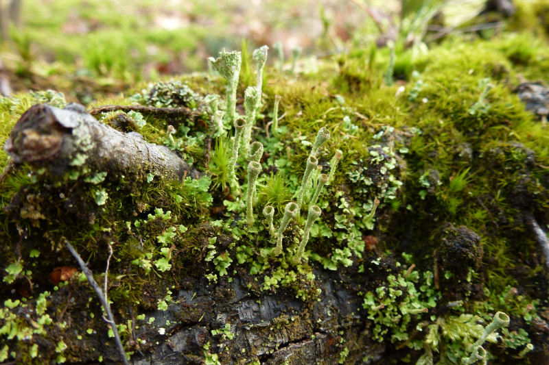 P1070343.JPG
