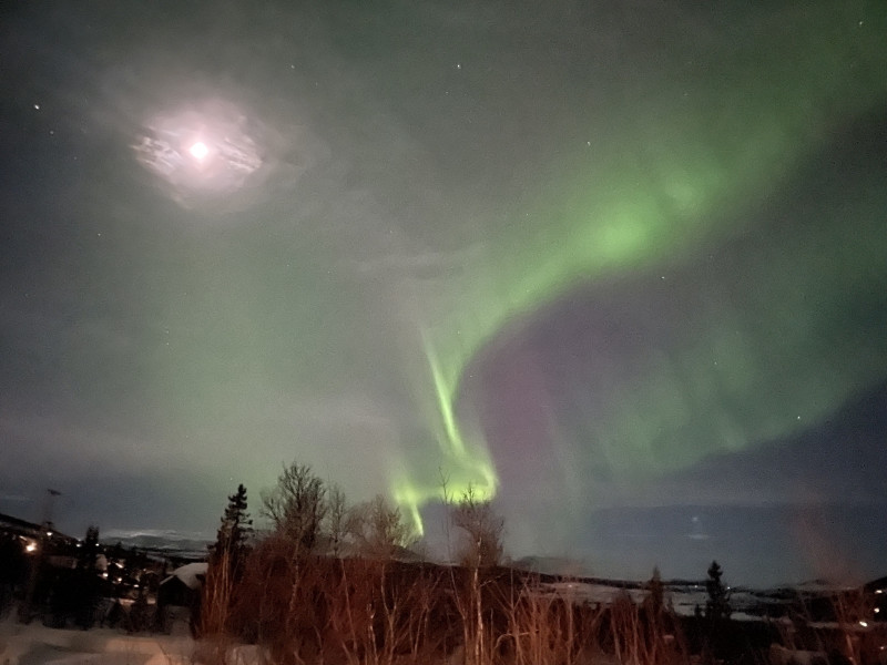 B95D3D38-E643-437F-81AE-6D28F1A9C32F.jpeg
