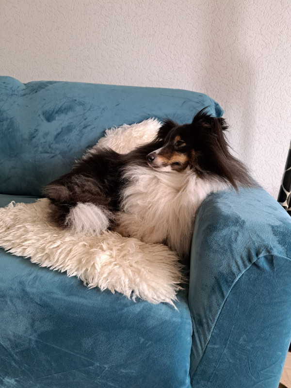 20230601_111731.jpg
