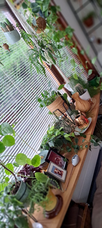 20230730_155121.jpg