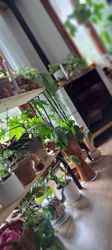 20230730_155024.jpg