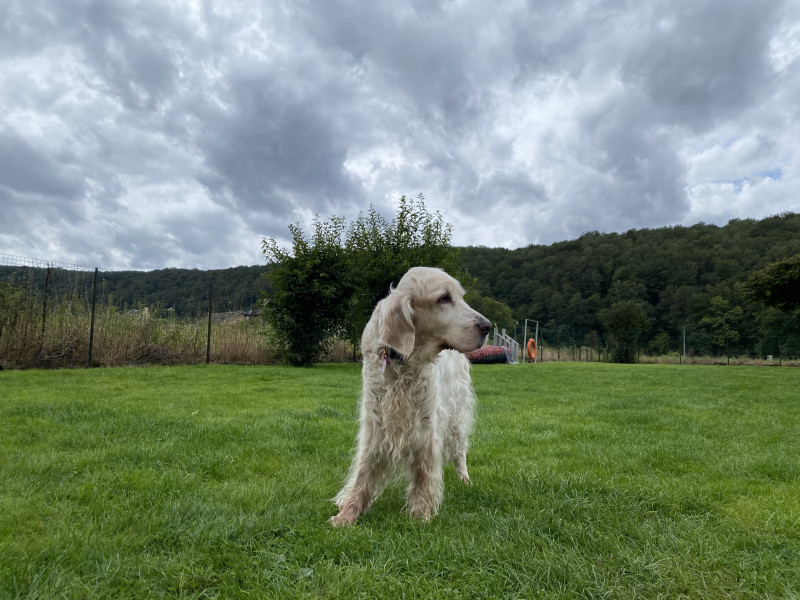 IMG_3622.jpeg