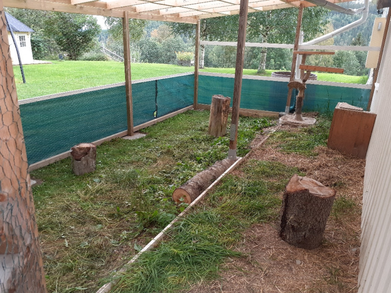 20230901_170811.jpg