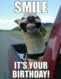 Cute-Happy-Birthday-Funny.jpg