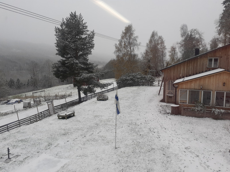 20231017_143151[1].jpg