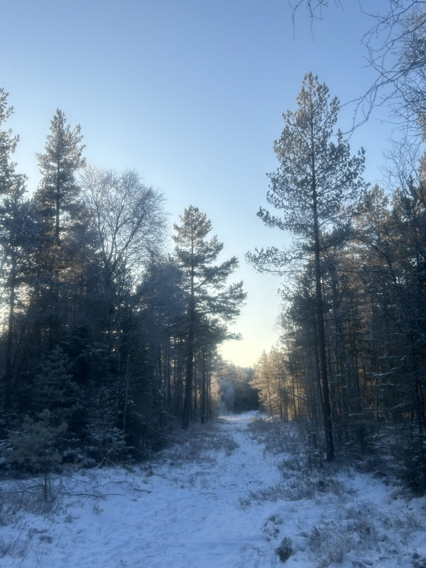 IMG_4172.jpeg