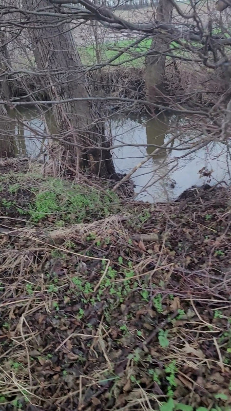VideoCapture_20240103-102933.jpg