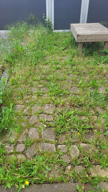 20240518_114237.jpg