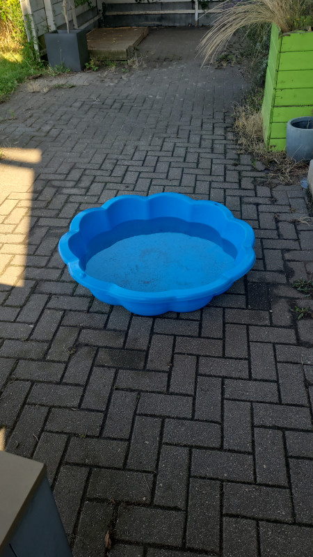 IMG-20240729-WA0013.jpeg
