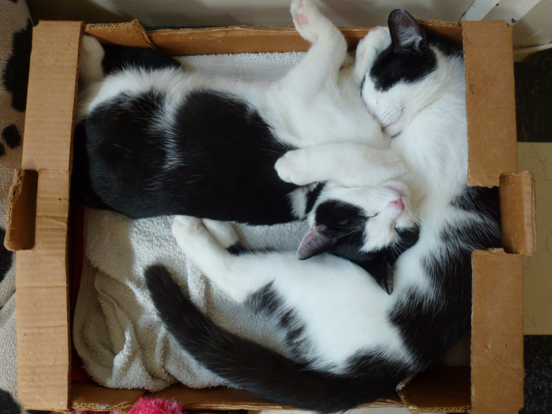 P1100150.JPG