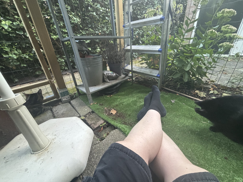 IMG_2591.jpeg