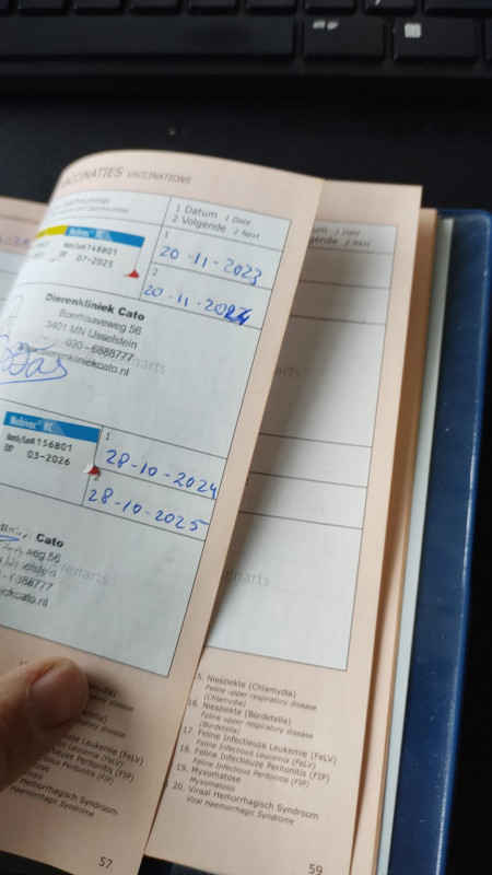 Afbeelding van WhatsApp op 2024-10-29 om 10.52.09_bb3c600c.jpg