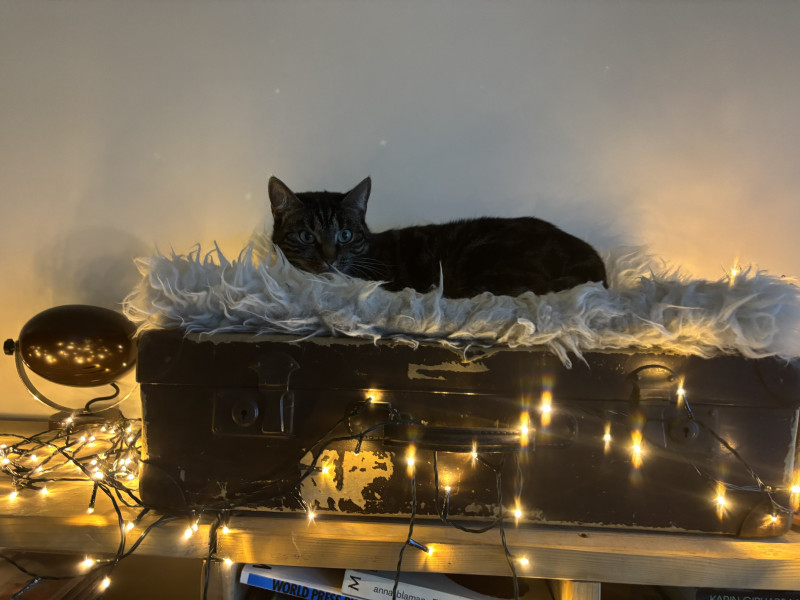 IMG_3564.jpeg