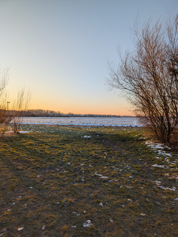 PXL_20250218_071019846.jpg