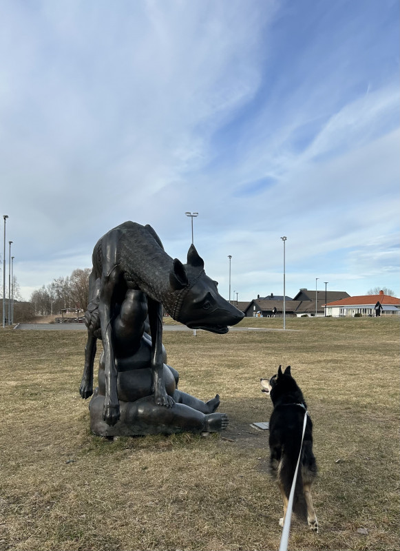 IMG_7300.jpeg
