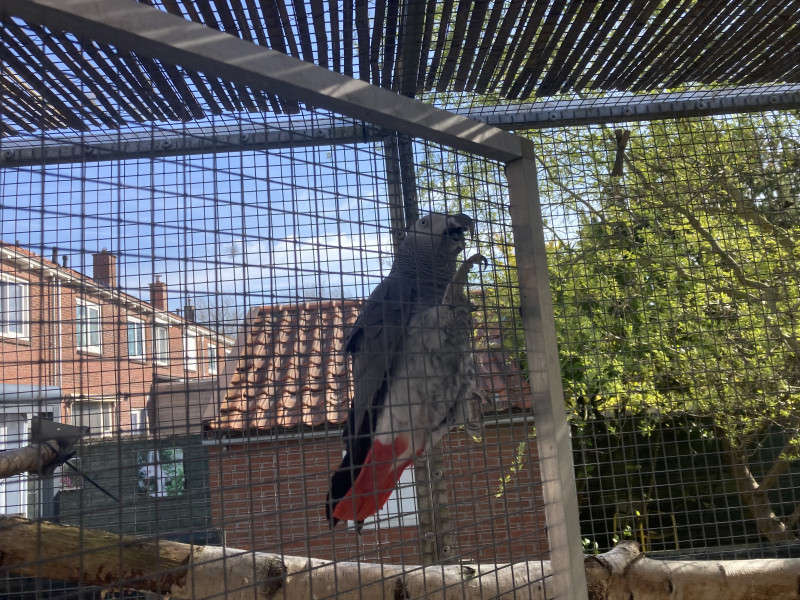 IMG_5334.jpeg