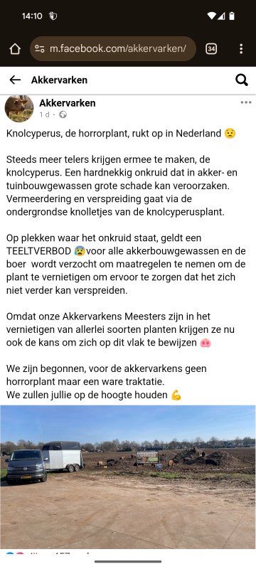 Screenshot_20250416-141032.png