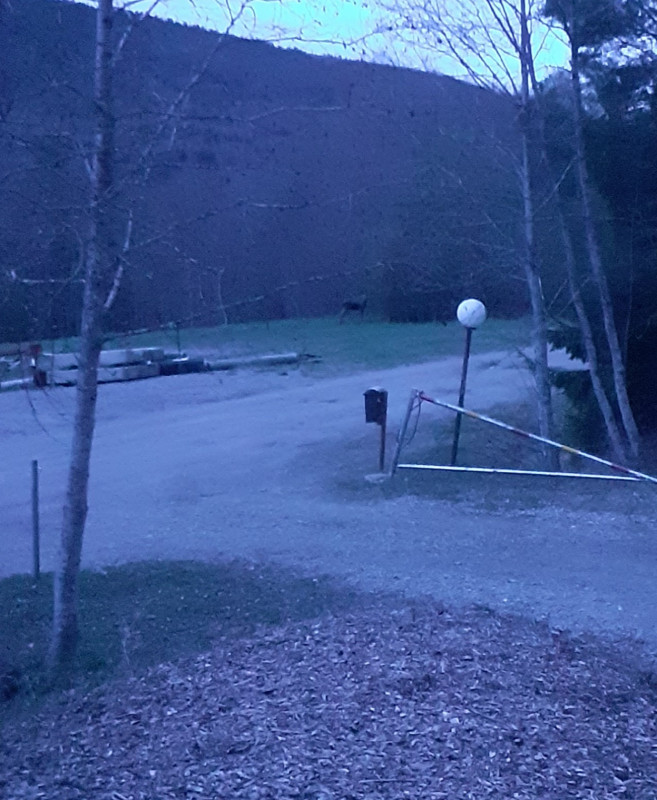 20250501_214616.jpg