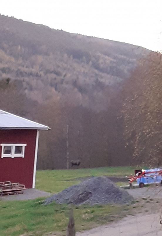 20250510_214618.jpg