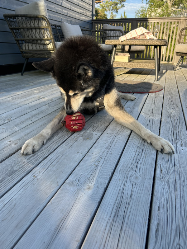 IMG_7647.jpeg