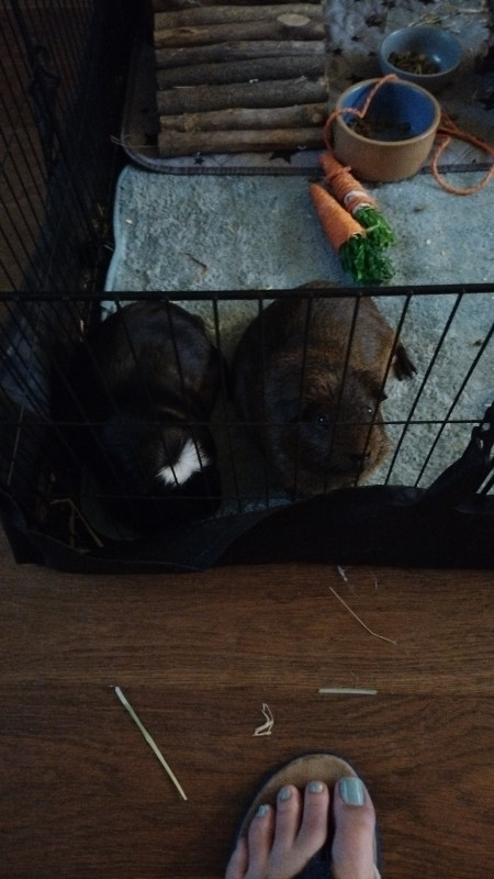IMG-20250701-WA0014.jpeg