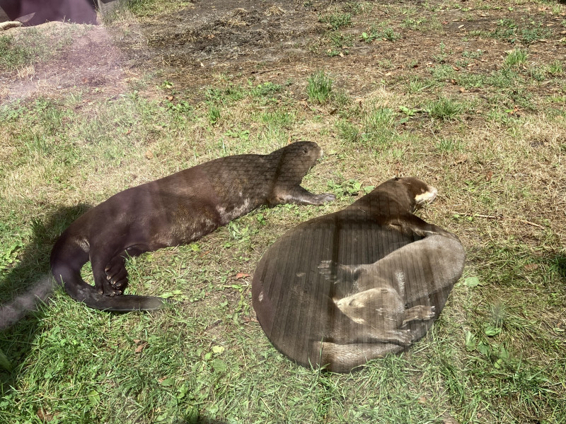 IMG_7757.jpeg