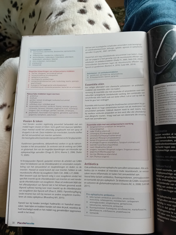 20250811_120721.jpg