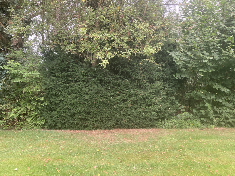 IMG_6455.jpeg