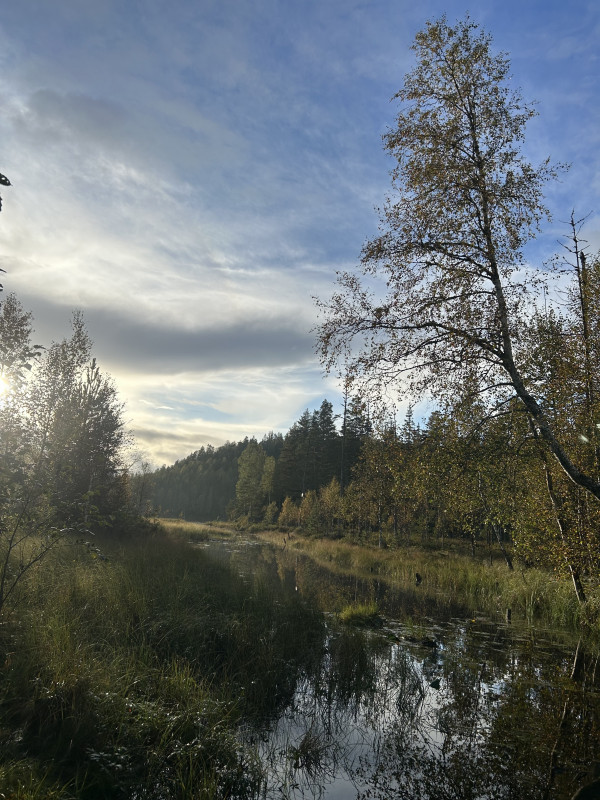 IMG_8438.jpeg