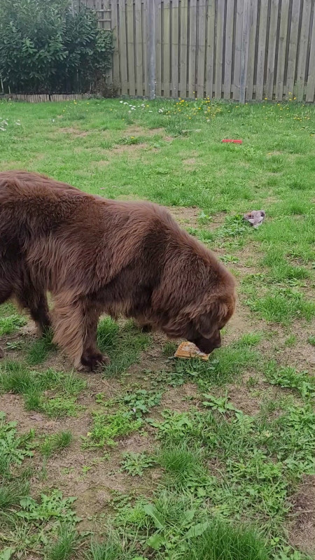 VideoCapture_20250921-152437.jpg