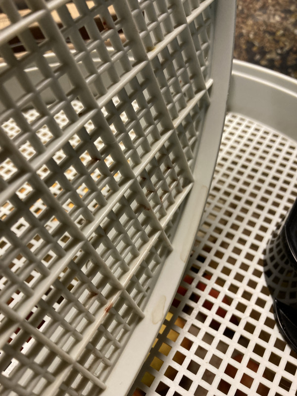 IMG_6635.jpeg