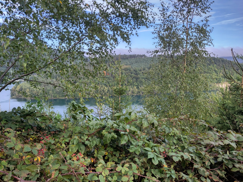 IMG_20250922_100111.jpg