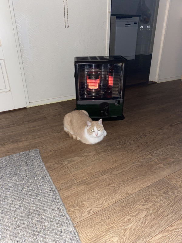 IMG_3277.jpeg