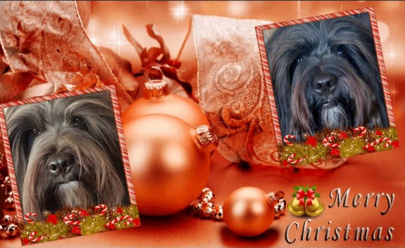 Screenshot_20251221_203133_Christmas Frames.jpg