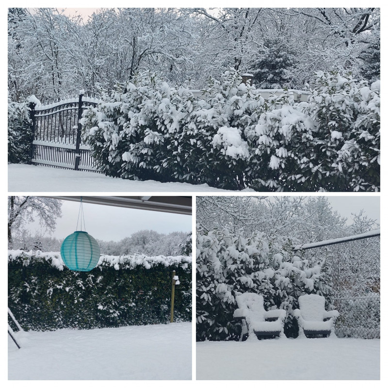 sneeuw 1.jpg